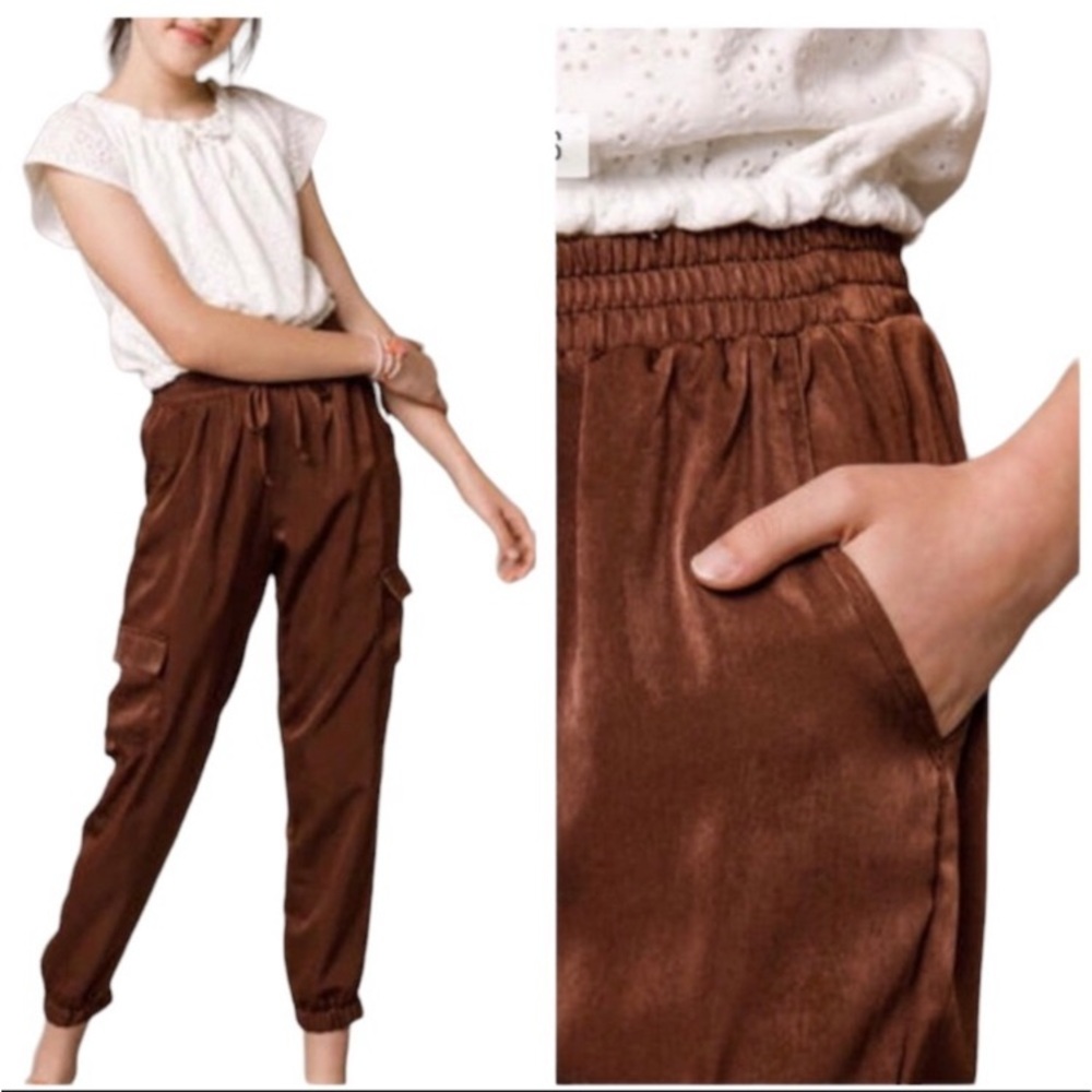 🎇🎉🍁🍂Metallic Bronze Satiny Cargo Pants